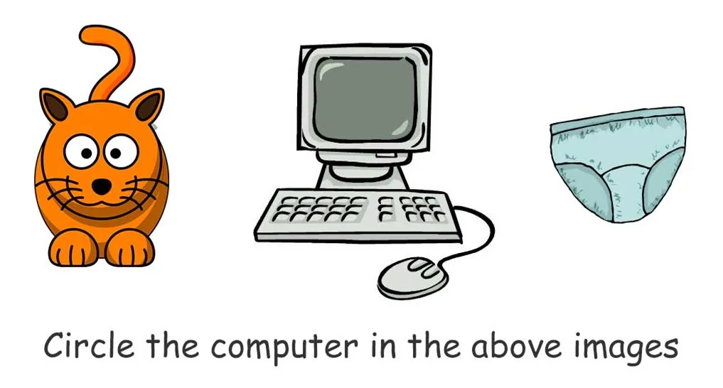 A cat, PC and a pair of pants. Circle the computer.